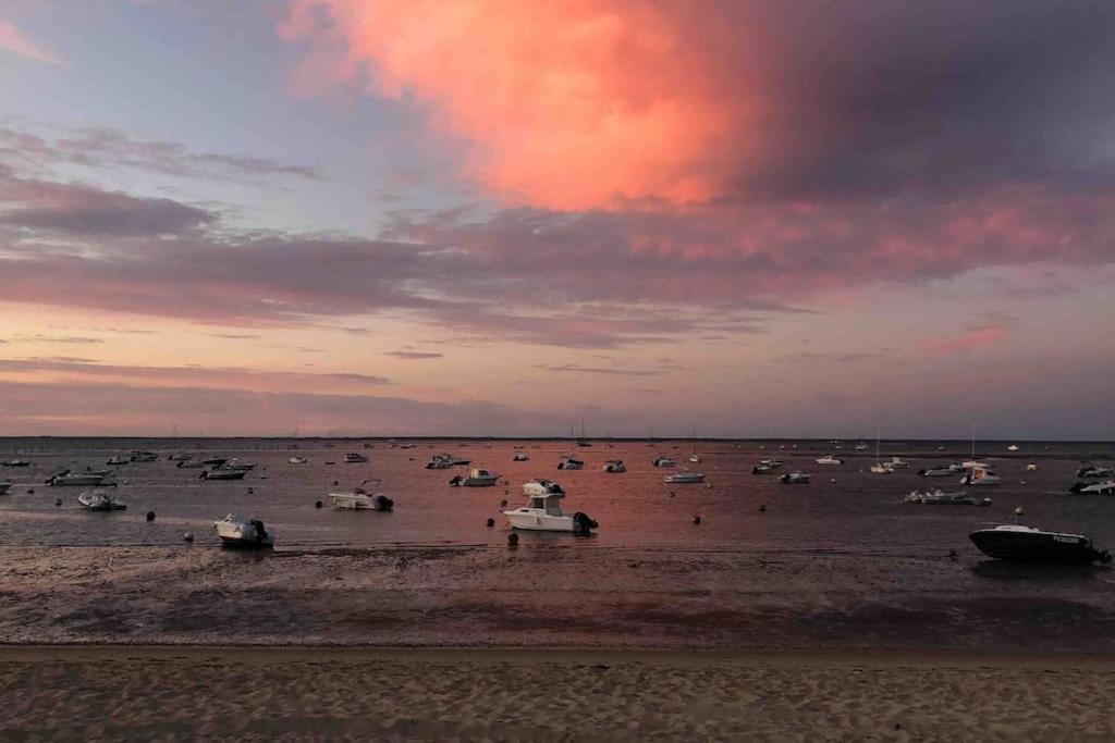 Maison A Arcachon Avec Piscine Hors-Sol ภายนอก รูปภาพ